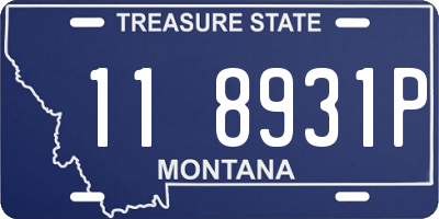 MT license plate 118931P