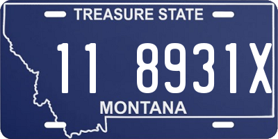 MT license plate 118931X