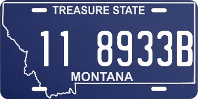 MT license plate 118933B