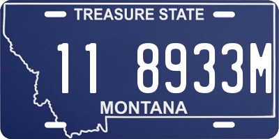 MT license plate 118933M