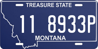 MT license plate 118933P