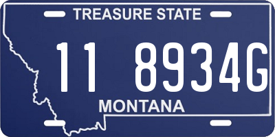 MT license plate 118934G