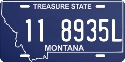 MT license plate 118935L