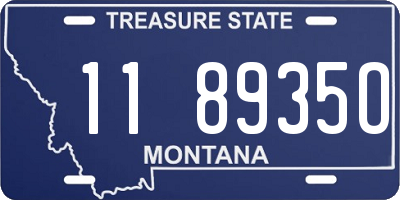 MT license plate 118935O