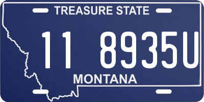 MT license plate 118935U