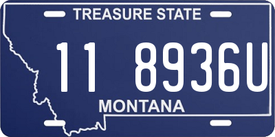 MT license plate 118936U