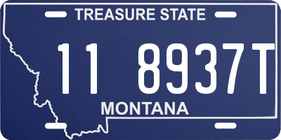 MT license plate 118937T