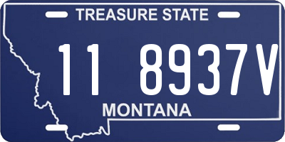 MT license plate 118937V