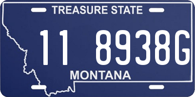 MT license plate 118938G