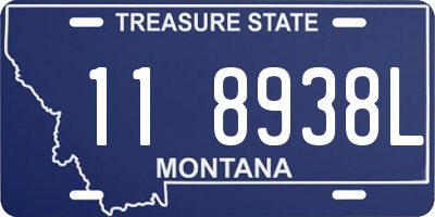 MT license plate 118938L