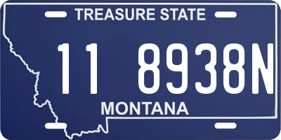 MT license plate 118938N