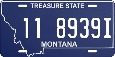 MT license plate 118939I