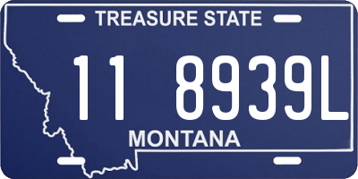 MT license plate 118939L