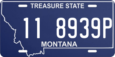 MT license plate 118939P