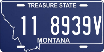 MT license plate 118939V