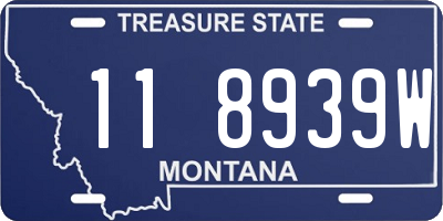 MT license plate 118939W