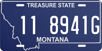 MT license plate 118941G