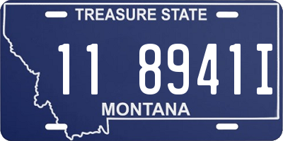 MT license plate 118941I