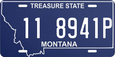 MT license plate 118941P