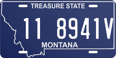 MT license plate 118941V