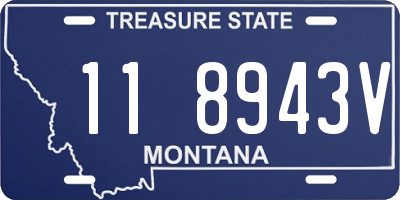 MT license plate 118943V