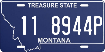 MT license plate 118944P