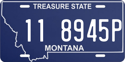 MT license plate 118945P