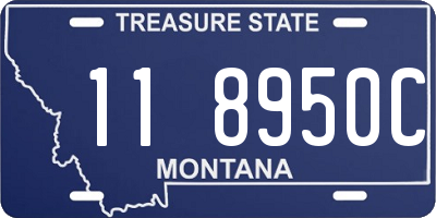 MT license plate 118950C