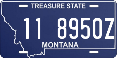 MT license plate 118950Z