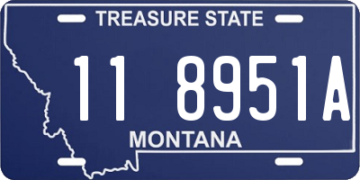 MT license plate 118951A