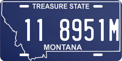 MT license plate 118951M