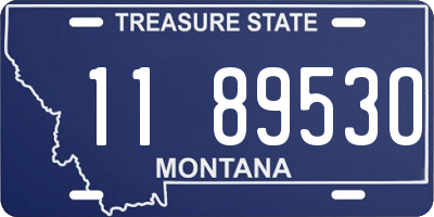 MT license plate 118953O