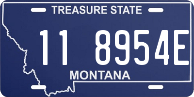 MT license plate 118954E