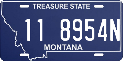 MT license plate 118954N