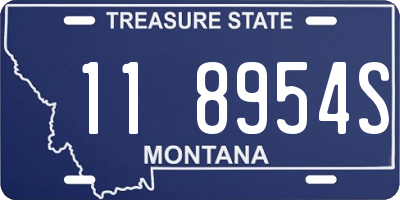 MT license plate 118954S