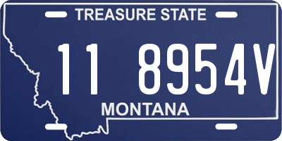 MT license plate 118954V