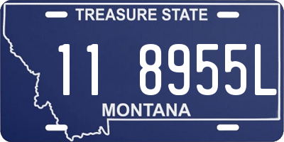 MT license plate 118955L