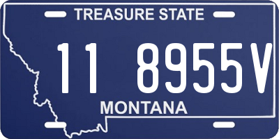 MT license plate 118955V