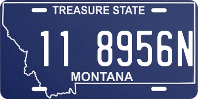 MT license plate 118956N