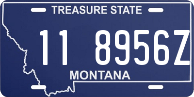 MT license plate 118956Z