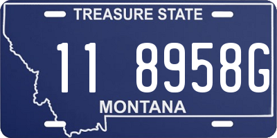 MT license plate 118958G