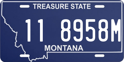 MT license plate 118958M