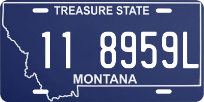 MT license plate 118959L