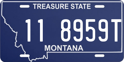 MT license plate 118959T