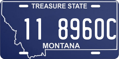 MT license plate 118960C
