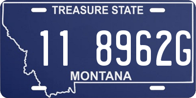 MT license plate 118962G