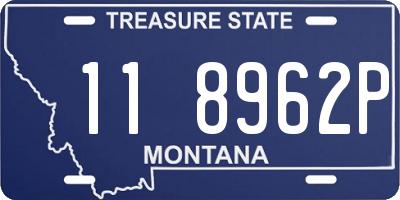 MT license plate 118962P