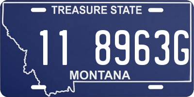 MT license plate 118963G