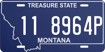 MT license plate 118964P