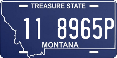 MT license plate 118965P